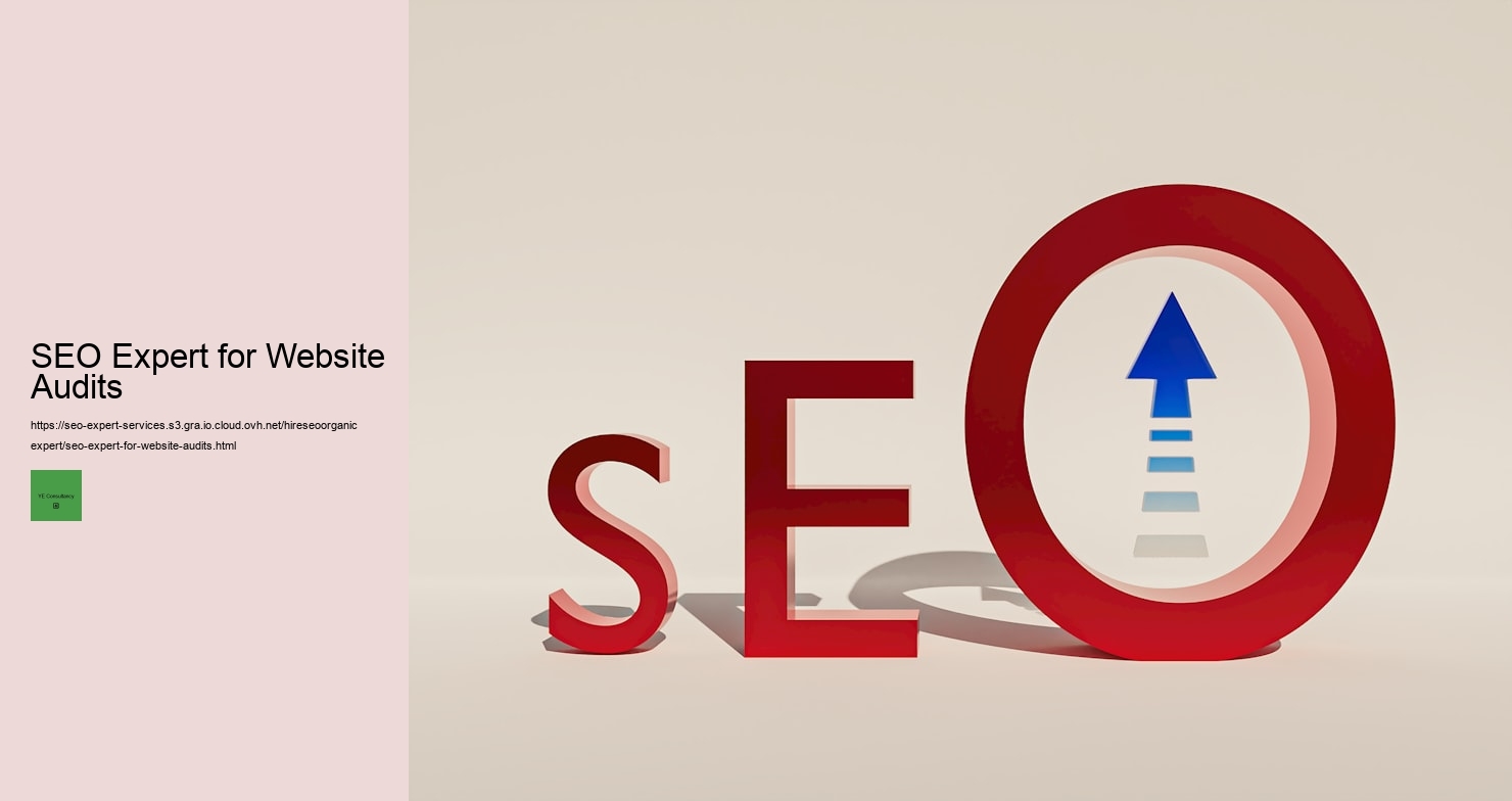 SEO Expert for Website Audits